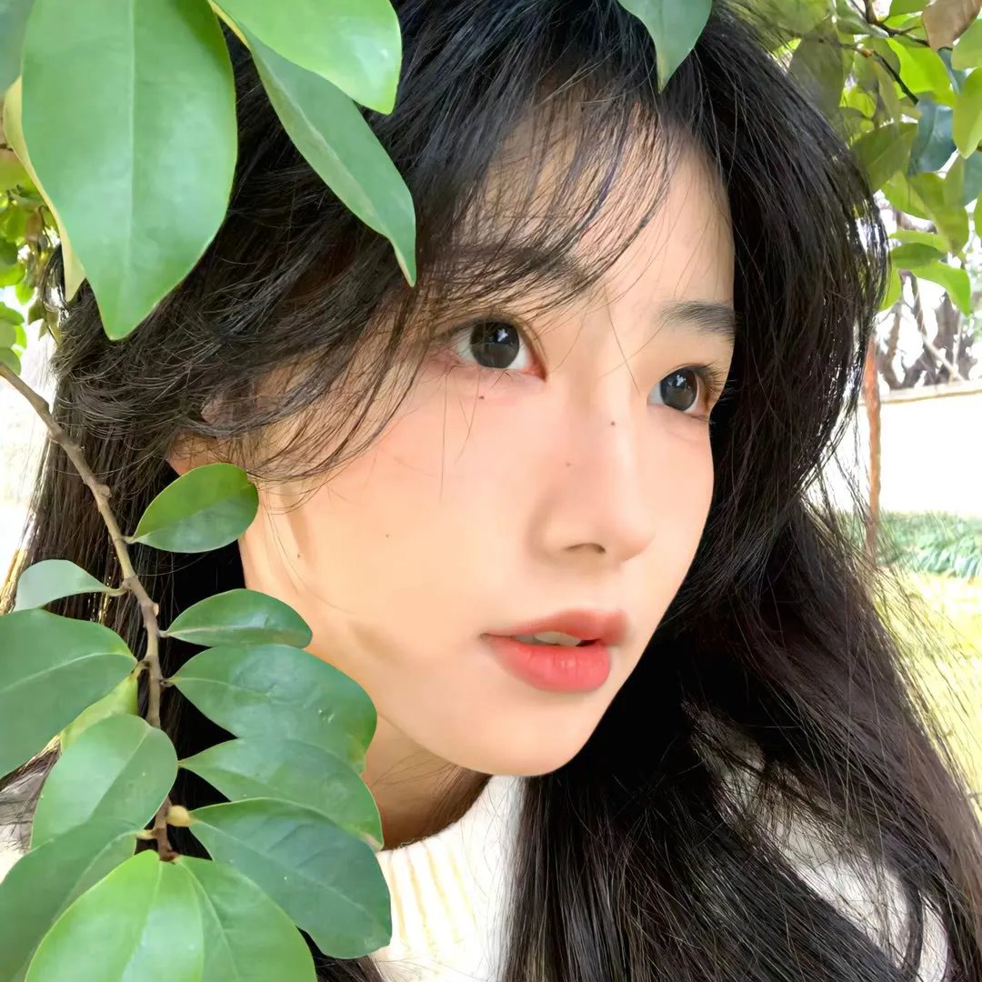 九月的某四天